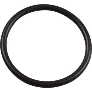 Blinkerglas Dichtring vorne - 356 A T2 - 356 C - 644 631 413 01