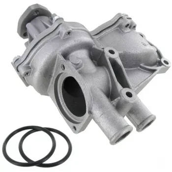 Komplette Wsserwerpumpe