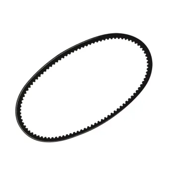 Keilriemen T3 Wasserpumpe 10x643