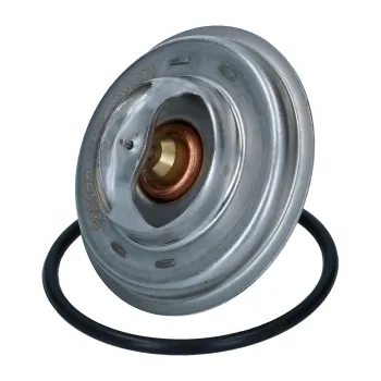 Thermostat 87° - Bus WBX - 5/79-7/92 - 025 121 113F