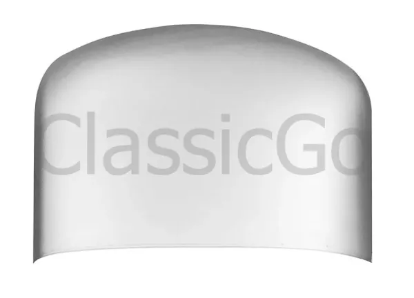 Reparaturblech Dach vorn